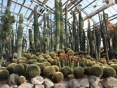 -南山植物园