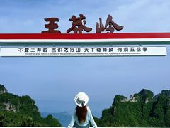 -王莽岭风景区