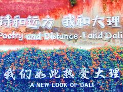 -崇圣寺三塔文化旅游区