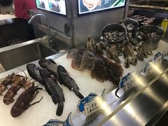 -渔娘渔家丹东海鲜(东直门店)