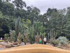 -深圳仙湖植物园