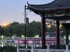 -莲花池公园