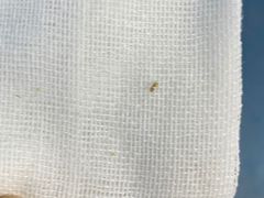 -华中科技大学同济医学院附属同济医院(汉口院区)