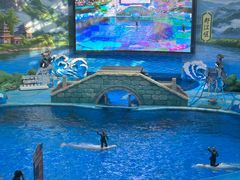 -海合安成都极地海洋公园