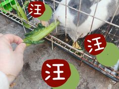 -前童古镇