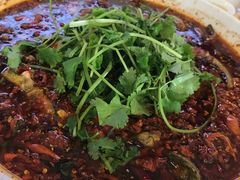 -胖大姐黄辣丁鱼庄(新津店)