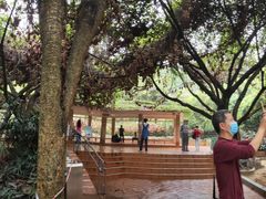 -云溪植物园