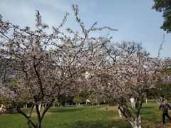 -江南大学(蠡湖校区)