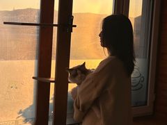 -猫的茶·猫咖