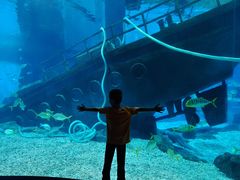 -福州罗源湾海洋世界旅游区