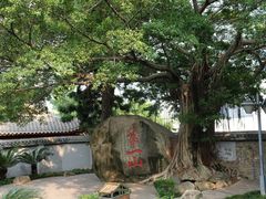 -乌山风景区