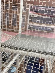 -超级奈尔宝SUPER NEOBIO(杭州星光店)