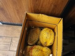 -1861意大利餐厅(文化广场店)