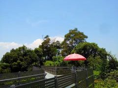 -梅峰山地公园