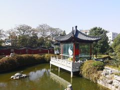 -葛仙湖公园
