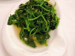 蒜蓉菠菜-庐州太太(信地店)