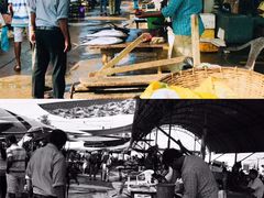 -尼甘布海鲜市场