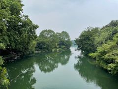 -湖畔居茶楼(湖滨店)