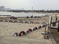 -九龙湖公园