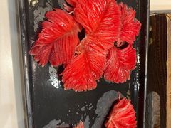 -卤校长老火锅(杨家坪直营店)