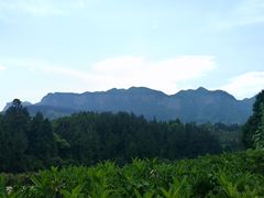 -重庆睡佛山森林公园