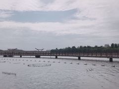 -淇河金沙滩