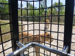 -深圳野生动物园