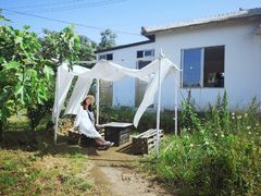 -柑橘农场