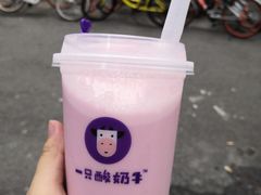 -一只酸奶牛(东方广场店)
