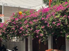 -Cục Gạch Quán