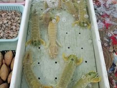 -南沙十九涌渔人码头-南门