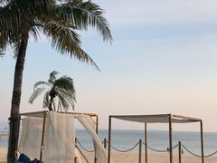 -精酿农场Brew Farm·沙漠绿洲餐厅