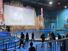 -华夏文旅海洋公园