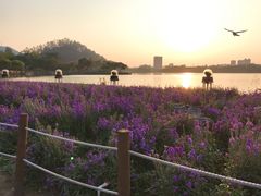 -顺峰山公园