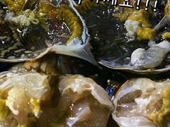 -凯华海鲜火锅·传承三十六年