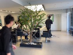 -付军剪艺JF ProSalon