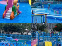 -海合安成都极地海洋公园