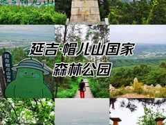 -帽儿山国家森林公园