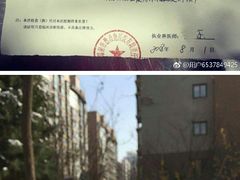 -读宠于你·约克夏比熊·睫角守宫·爬宠售卖(高新店)