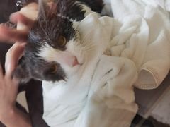 -喜洋洋宠物医院(震川路总店)