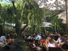 -Fern Forest Cafe