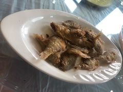 -明珠湖天鹅苑·农家菜馆