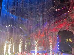 -广州长隆国际大马戏