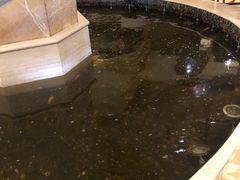 -碧中海汤泉汗蒸酒店