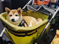 -潮民公馆(BFC外滩金融中心店)