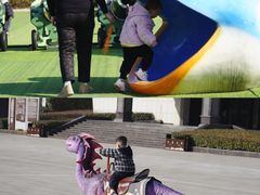 -中国西峡恐龙遗迹园