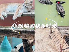 -青藏高原野生动物园