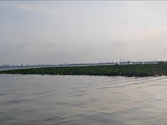 -莲花岛景区
