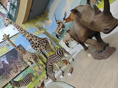 -陕西自然博物馆