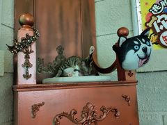 -逃脱反斗城沉浸剧情密室(北京路店)